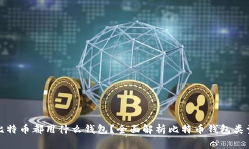 大家买比特币都用什么钱包？全面解析比特币钱包类型与选择